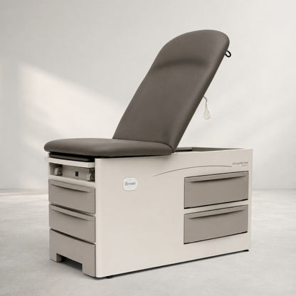 Brewer Access Exam Table