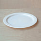 BH Healsafe White Plates