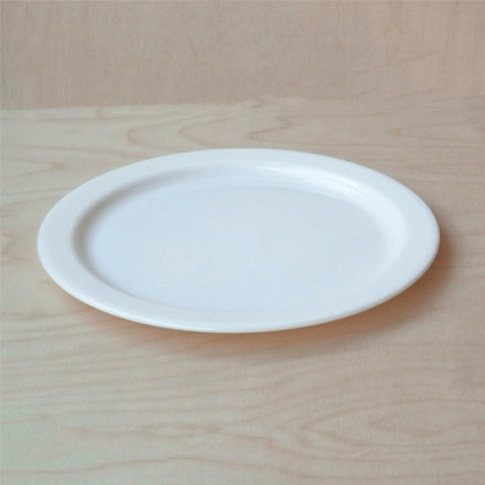 BH Healsafe White Plates