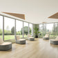 Kiwi BH Beanbag Chair