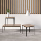 Leo Lounge Collection