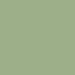 Sage Green Polyurethane No Drip Edge finish