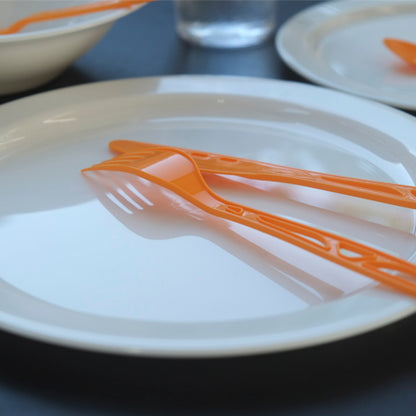 BH Healsafe White Plates