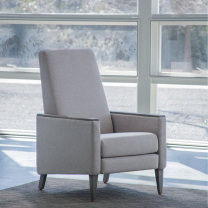 Eva Lounger Recliner
