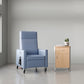 Carson Recliner