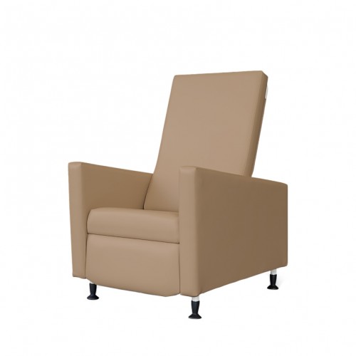 Home Care Cliner